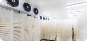 16澳洲幸运5体彩官方开奖 | Home